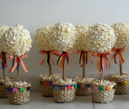 Popcorn-Blume 