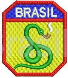 브라질의 제 2 차 세계 대전 참전