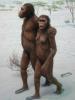 Australopithecus: Hva det er og kjennetegn