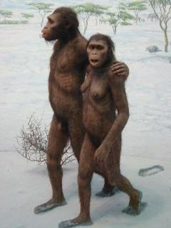 Australopithecus: mis see on ja omadused