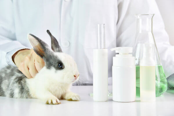 لا يستخدم النباتيون بشكل عام المنتجات المختبرة على الحيوانات.