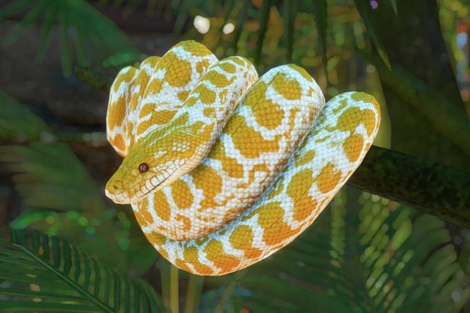 Şaşırtıcı: yılanların derilerini nasıl değiştirdiğini anlayın