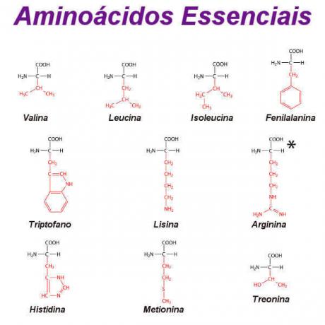 Zwróć uwagę na strukturę niezbędnych aminokwasów i argininy (*), warunkowo niezbędnego aminokwasu.