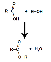 Chemical equation representing the formation of an ester