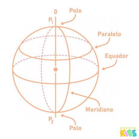 Kula z jej wyznaczonymi elementami: biegun, południk, równik, równoleżnik