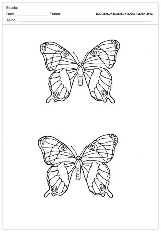 Vlindervorm - 33