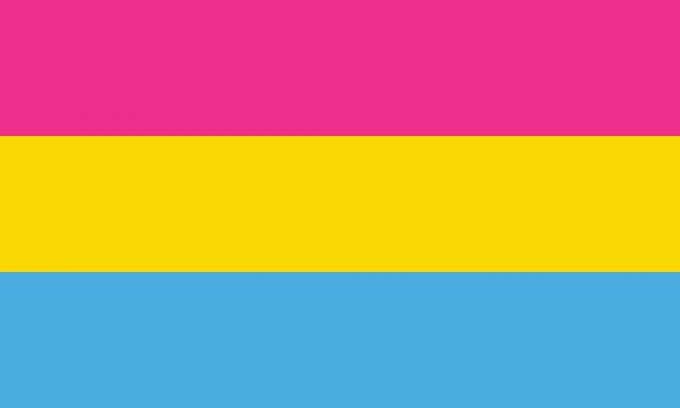 Pansexual vlag met roze, gele en blauwe kleuren.