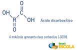 Kwasy karboksylowe: reakcje, nazewnictwo, przykłady