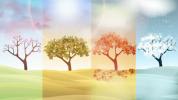Seasons. Characteristics of the four seasons of the year
