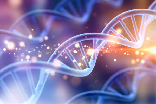 Het gen is een stukje DNA dat verantwoordelijk is voor erfelijke eigenschappen. Alternatieve vormen van genen zijn allelen, die dominant of recessief kunnen zijn.