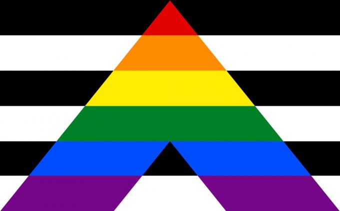 Застава савезника ЛГБТ+ узрока са црно-белом позадином и горњим делом троугла у боји.