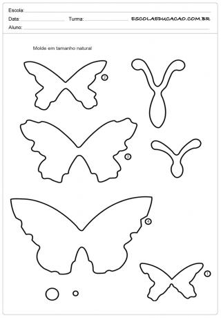 Schmetterlingsform - 11