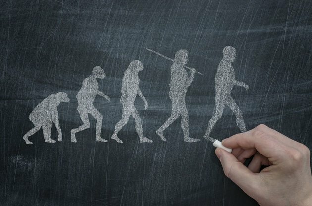 Teória ľudskej evolúcie