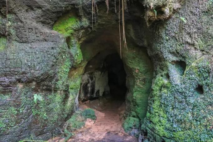 最長20万年分の巨大ナマケモノの隠れ家、RSで発見