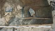 Archaeologists find possible first weapon used by humans in Europe; look
