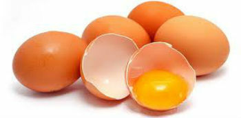 Animalsk mat: kjøtt, egg og meieriprodukter
