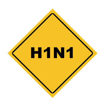 Influenzavirus Typ A/H1N1