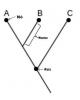 Phylogeny: abstract, cladistics and cladograms
