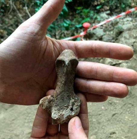 イタリアで発見された7,000年前の謎の置物