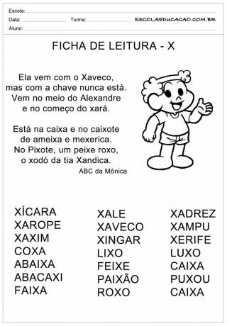 Letter X - Xaveco Reading Sheet