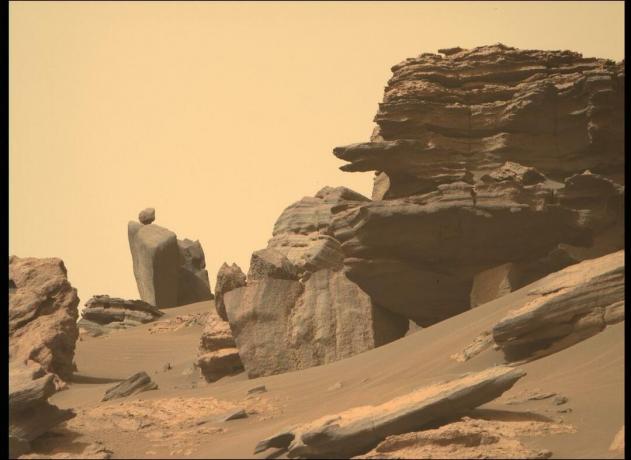 नासा ने मंगल ग्रह पर 'भालू' ढूंढा और तस्वीरें जारी कीं