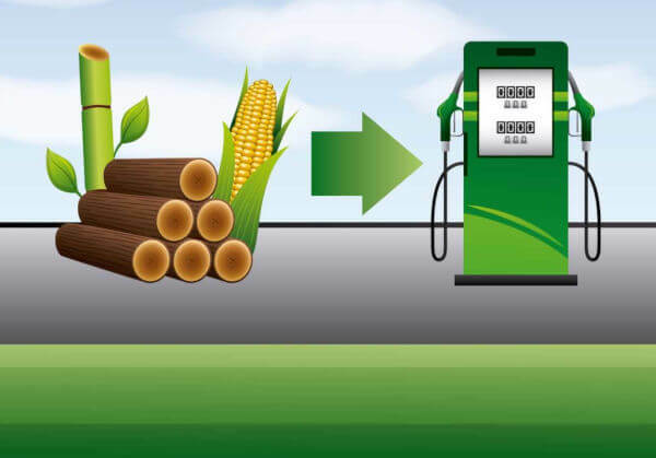 Bioenergi: biomassa, bahan bakar, kelebihan dan kekurangan