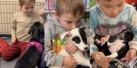 First-grade teacher raises 18 puppies in class, with research-proven benefits