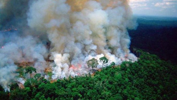 Пожар в Амазонка