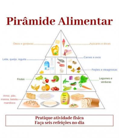 Yukarıdaki besin piramidi, 2013 yılında Philippi tarafından önerilen modele göre oluşturulmuştur.