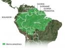 Alles über den Amazonas