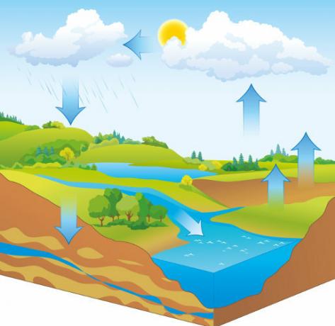 Analyze the representation of the water cycle