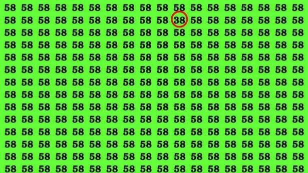 Challenge: find the number 38 buried in the sea of ​​58's in just 10 seconds
