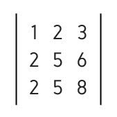 Voorbeeld van determinanten van de derde orde