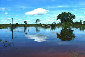 Pantanal - Ecologische Toevlucht