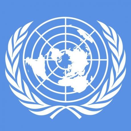 логотип ООН