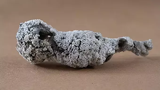 Ritka jelenség: A fába villámcsapás után példátlan ásvány jelent meg