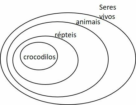 aibės ir poaibiai