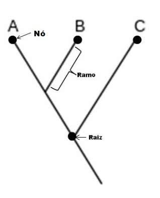 cladogram