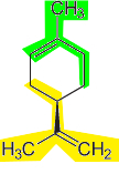 Limoneenirakenne, jonka muodostavat kaksi isopreeniyksikköä, jotka on merkitty vihreällä ja keltaisella värillä