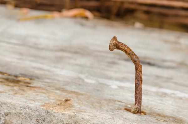 Rusty objects, soil, dust, and animal feces can contain spores of the tetanus-causing bacteria.