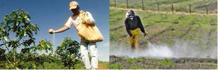 Contaminación del agua por relaves agrícolas. Contaminación y agricultura