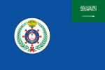 Flagget til Saudi-Arabia: mening, historie