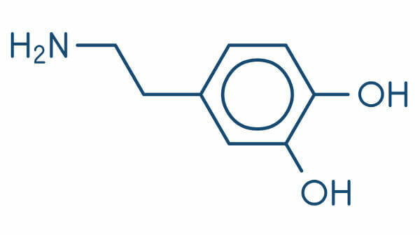 Look closely at the structural formula for dopamine, an important neurotransmitter.
