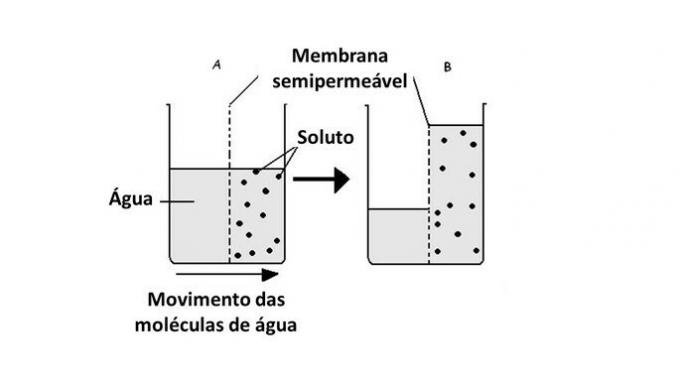 Osmosis representation