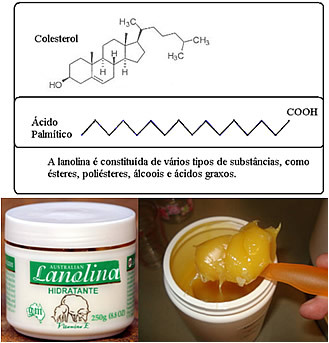 Constitution and appearance of lanolin 