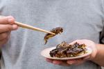 משקאות חרקים הם כל הזעם בטוקיו; להבין את האופנה המוזרה הזו