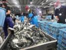 Kina kan forby japansk sjømat etter deponi for radioaktivt vann i Fukushima