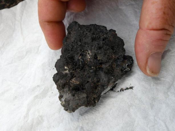 Frau sagt, sie sei in Frankreich von einem Meteoriten getroffen worden; siehe Gutachten