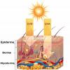 Ochranný faktor proti slunci (SPF)