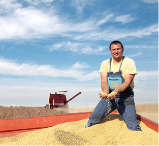 Most of the biodiesel produced by Brazil comes from soy